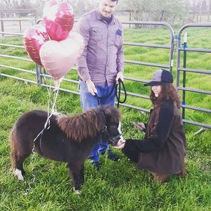 Meet your Posher, Jane